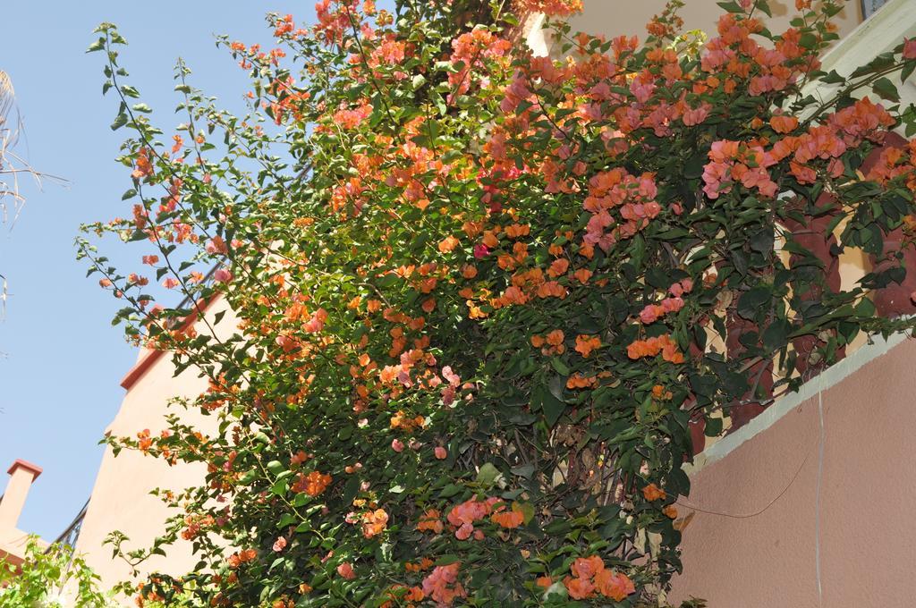 Zina Apartment Marrakesh Ruang foto